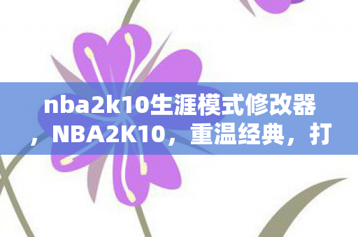 nba2k10生涯模式修改器，NBA2K10，重温经典，打造专属篮球传奇