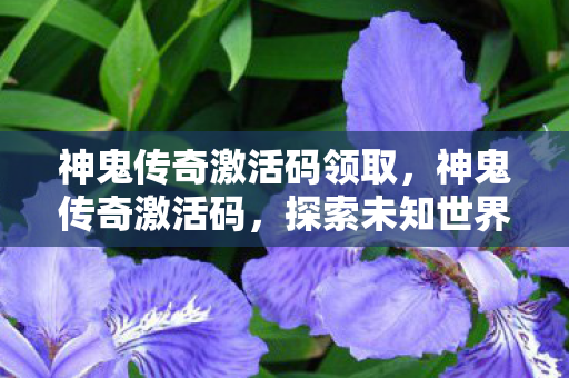 神鬼传奇激活码领取，神鬼传奇激活码，探索未知世界的神秘钥匙