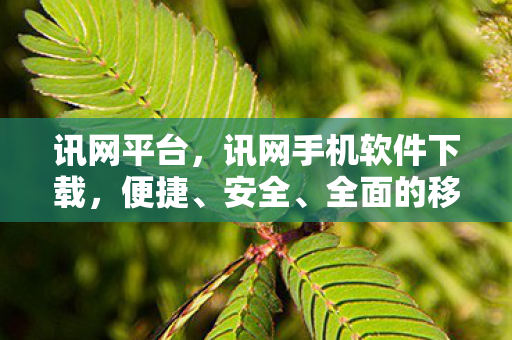 讯网平台,讯网手机软件下载,便捷、安全、全面的移动应用获取方式 讯网平台,讯网手机软件下载,便捷、安全、全面的移动应用获取方式