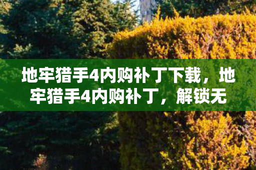 地牢猎手4内购补丁下载,地牢猎手4内购补丁,解锁无限可能的冒险之旅 地牢猎手4内购补丁下载,地牢猎手4内购补丁,解锁无限可能的冒险之旅