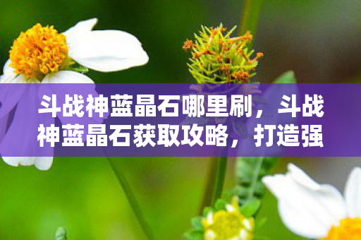 斗战神蓝晶石哪里刷，斗战神蓝晶石获取攻略，打造强力角色的必备资源