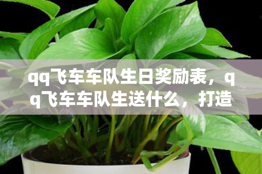 qq飞车车队生日奖励表，qq飞车车队生送什么，打造专属车队福利，提升团队凝聚力