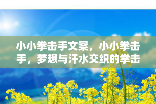 小小拳击手文案,小小拳击手,梦想与汗水交织的拳击之路 小小拳击手文案,小小拳击手,梦想与汗水交织的拳击之路