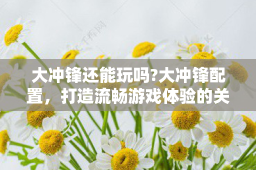 大冲锋还能玩吗?大冲锋配置，打造流畅游戏体验的关键要素