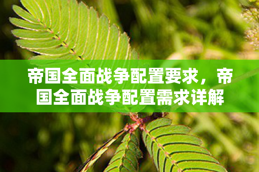 帝国全面战争配置要求,帝国全面战争配置需求详解 帝国全面战争配置要求,帝国全面战争配置需求详解