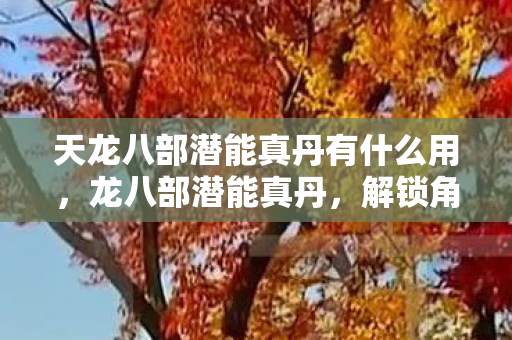 天龙八部潜能真丹有什么用，龙八部潜能真丹，解锁角色潜力的神秘宝物
