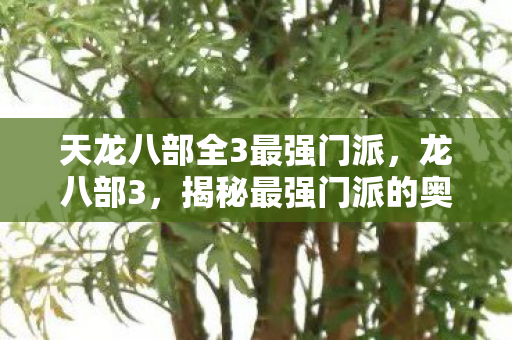 天龙八部全3最强门派，龙八部3，揭秘最强门派的奥秘