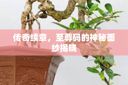 传奇续章,至尊码的神秘面纱揭晓 传奇续章,至尊码的神秘面纱揭晓
