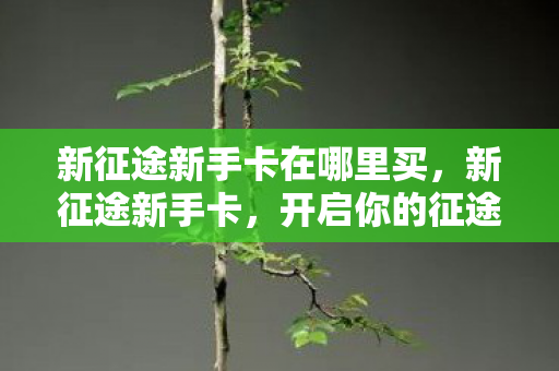 新征途新手卡在哪里买,新征途新手卡,开启你的征途之旅 新征途新手卡在哪里买,新征途新手卡,开启你的征途之旅