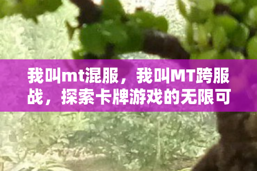 我叫mt混服，我叫MT跨服战，探索卡牌游戏的无限可能