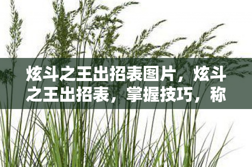 炫斗之王出招表图片，炫斗之王出招表，掌握技巧，称霸擂台