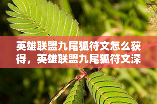 英雄联盟九尾狐符文怎么获得，英雄联盟九尾狐符文深度解析，掌握核心，提升战斗实力