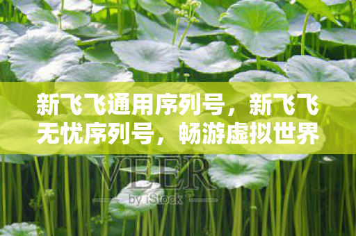 新飞飞通用序列号，新飞飞无忧序列号，畅游虚拟世界的通行证
