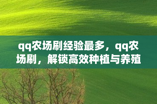 qq农场刷经验最多，qq农场刷，解锁高效种植与养殖的秘诀