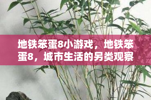 地铁笨蛋8小游戏，地铁笨蛋8，城市生活的另类观察