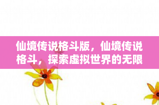 仙境传说格斗版，仙境传说格斗，探索虚拟世界的无限可能