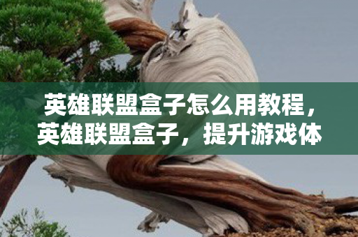英雄联盟盒子怎么用教程，英雄联盟盒子，提升游戏体验的实用工具