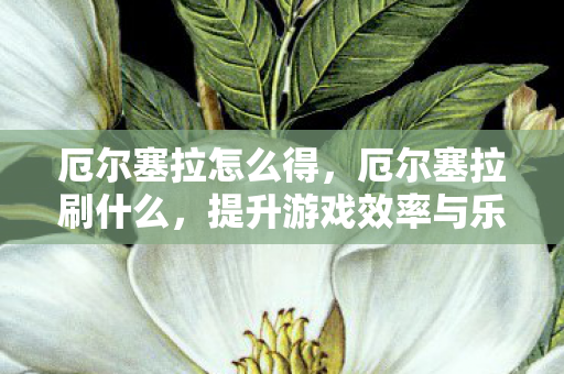厄尔塞拉怎么得,厄尔塞拉刷什么,提升游戏效率与乐趣的实用建议 厄尔塞拉怎么得,厄尔塞拉刷什么,提升游戏效率与乐趣的实用建议