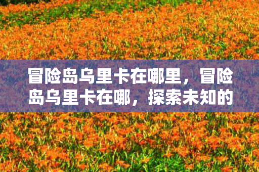 冒险岛乌里卡在哪里，冒险岛乌里卡在哪，探索未知的神秘之旅