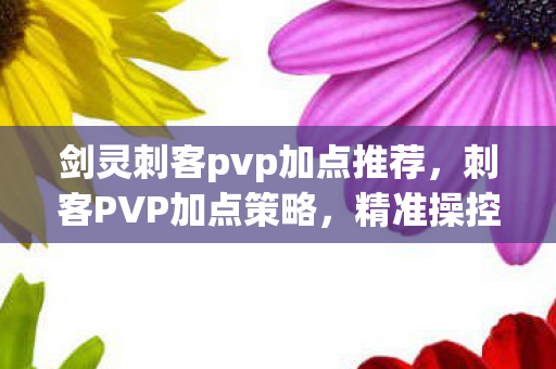 剑灵刺客pvp加点推荐，刺客PVP加点策略，精准操控，一击毙命