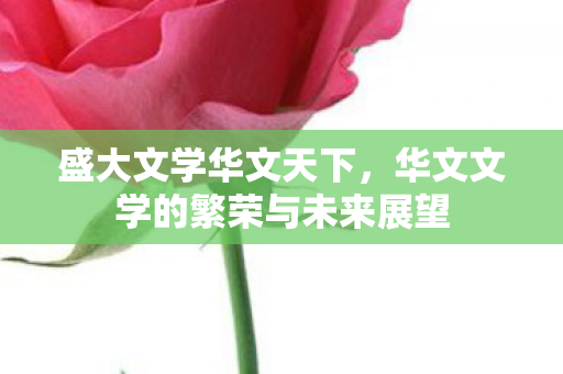 盛大文学华文天下,华文文学的繁荣与未来展望 盛大文学华文天下,华文文学的繁荣与未来展望