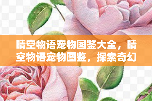 晴空物语宠物图鉴大全，晴空物语宠物图鉴，探索奇幻世界的奇妙伙伴