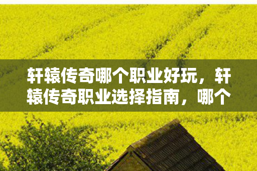 轩辕传奇哪个职业好玩，轩辕传奇职业选择指南，哪个职业最适合你？