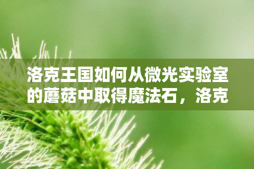 洛克王国如何从微光实验室的蘑菇中取得魔法石,洛克王国微光实验室的蘑菇探索指南 洛克王国如何从微光实验室的蘑菇中取得魔法石,洛克王国微光实验室的蘑菇探索指南