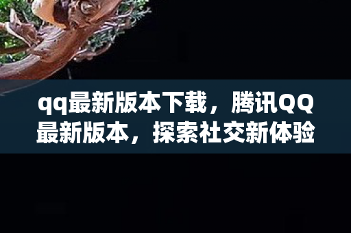 qq最新版本下载，腾讯QQ最新版本，探索社交新体验