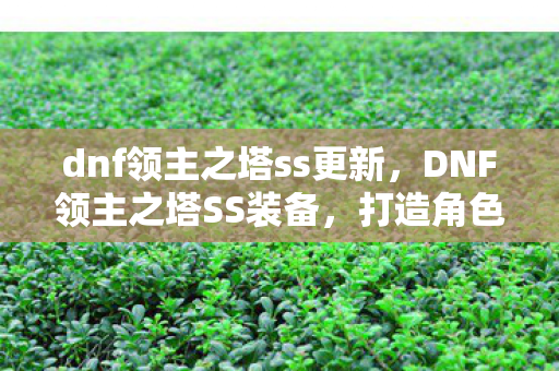 dnf领主之塔ss更新，DNF领主之塔SS装备，打造角色巅峰的必备神器