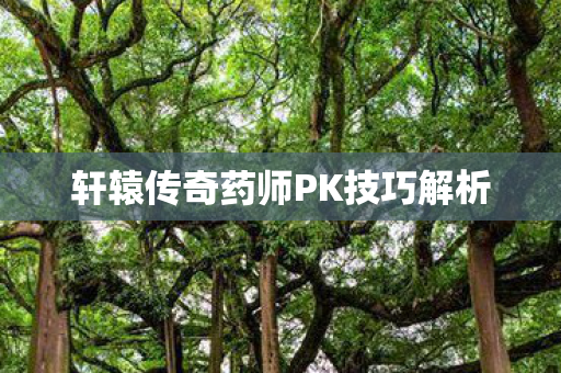 轩辕传奇药师PK技巧解析 轩辕传奇药师PK技巧解析
