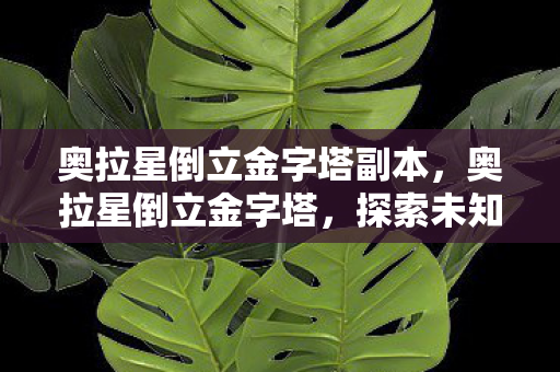奥拉星倒立金字塔副本，奥拉星倒立金字塔，探索未知世界的奇妙之旅
