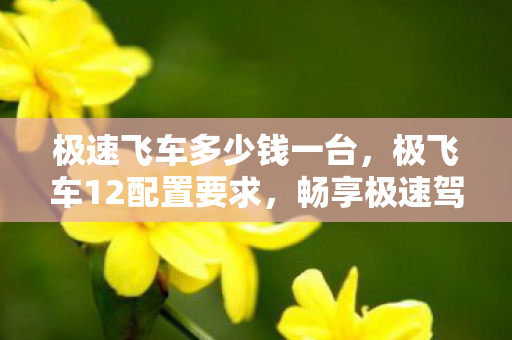极速飞车多少钱一台，极飞车12配置要求，畅享极速驾驶体验