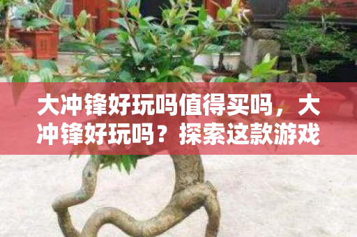 大冲锋好玩吗值得买吗，大冲锋好玩吗？探索这款游戏的独特魅力