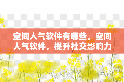 空间人气软件有哪些，空间人气软件，提升社交影响力的秘密武器