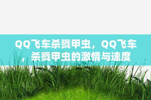 QQ飞车杀戮甲虫，QQ飞车，杀戮甲虫的激情与速度