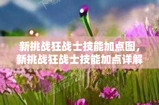 新挑战狂战士技能加点图，新挑战狂战士技能加点详解