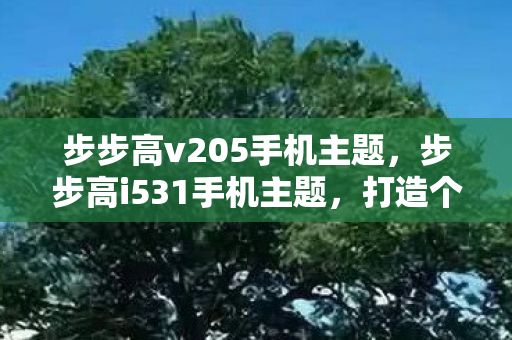 步步高v205手机主题,步步高i531手机主题,打造个性化与实用性的完美融合 步步高v205手机主题,步步高i531手机主题,打造个性化与实用性的完美融合