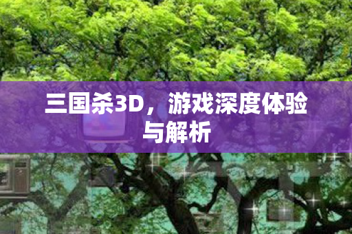 三国杀3D,游戏深度体验与解析 三国杀3D,游戏深度体验与解析