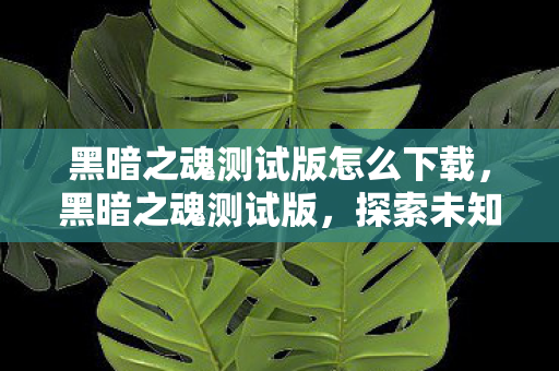黑暗之魂测试版怎么下载,黑暗之魂测试版,探索未知世界的冒险之旅 黑暗之魂测试版怎么下载,黑暗之魂测试版,探索未知世界的冒险之旅