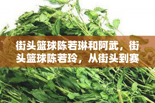 街头篮球陈若琳和阿武，街头篮球陈若玲，从街头到赛场的华丽蜕变