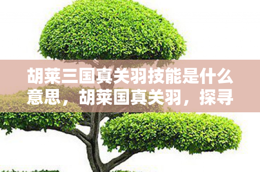 胡莱三国真关羽技能是什么意思，胡莱国真关羽，探寻历史与游戏中的忠勇之魂