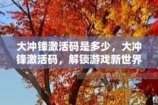 大冲锋激活码是多少,大冲锋激活码,解锁游戏新世界的钥匙 大冲锋激活码是多少,大冲锋激活码,解锁游戏新世界的钥匙