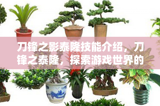 刀锋之影泰隆技能介绍,刀锋之泰隆,探索游戏世界的无限可能 刀锋之影泰隆技能介绍,刀锋之泰隆,探索游戏世界的无限可能