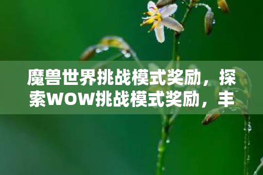 魔兽世界挑战模式奖励，探索WOW挑战模式奖励，丰厚奖励与独特成就