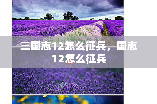 三国志12怎么征兵,国志12怎么征兵 三国志12怎么征兵,国志12怎么征兵