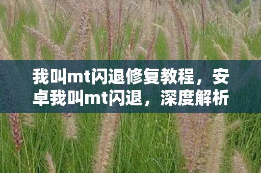 我叫mt闪退修复教程,安卓我叫mt闪退,深度解析与解决方案 我叫mt闪退修复教程,安卓我叫mt闪退,深度解析与解决方案