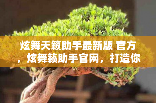炫舞天籁助手最新版 官方，炫舞籁助手官网，打造你的专属音乐舞蹈世界