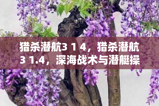 猎杀潜航3 1 4,猎杀潜航3 1.4,深海战术与潜艇操作的完美融合 猎杀潜航3 1 4,猎杀潜航3 1.4,深海战术与潜艇操作的完美融合