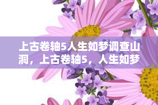 上古卷轴5人生如梦调查山洞，上古卷轴5，人生如梦，探索无限可能的奇幻世界